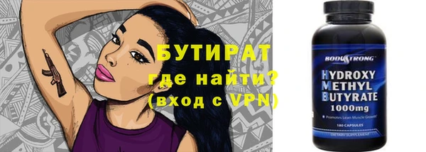 индика Бородино