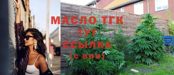 индика Бородино