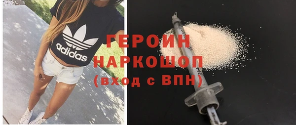 индика Бородино