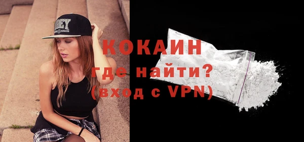 индика Бородино