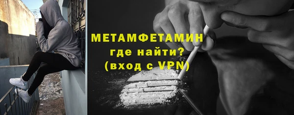 индика Бородино