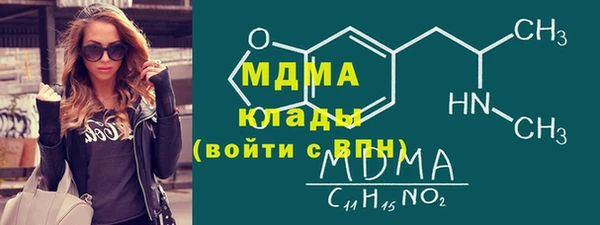 индика Бородино