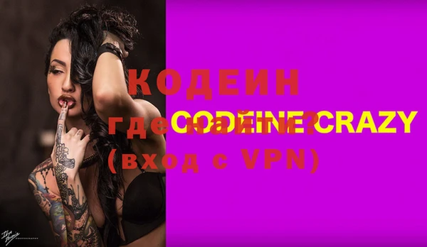 индика Бородино
