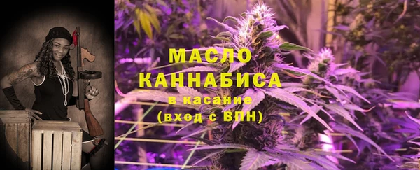 индика Бородино