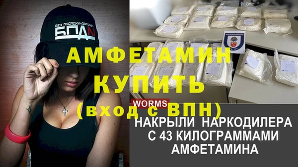 индика Бородино