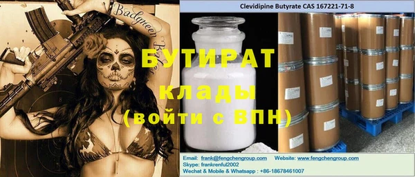 индика Бородино