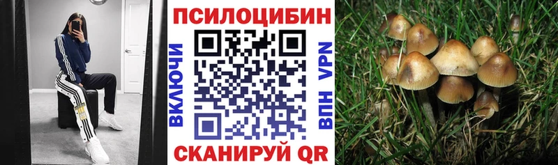Галлюциногенные грибы мицелий  OMG зеркало  Белгород  купить закладку 